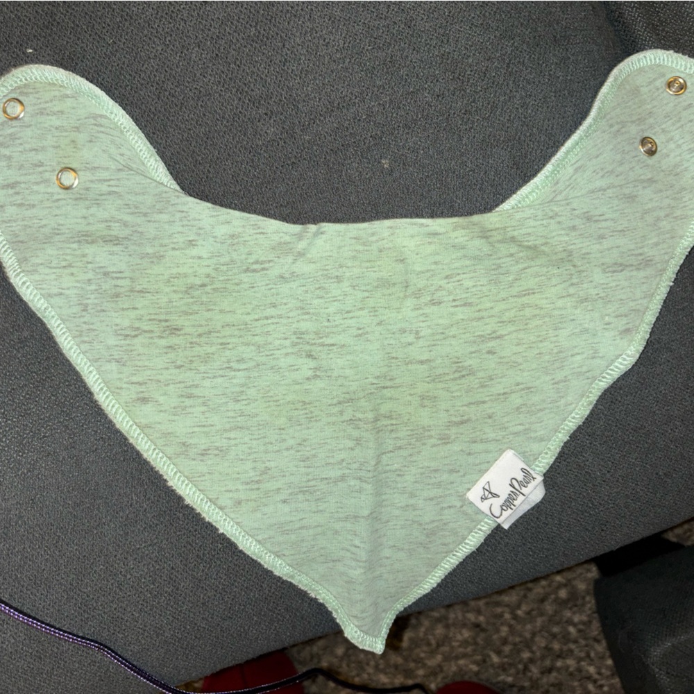 Copper Pearl Green Bandana Bib for Kids